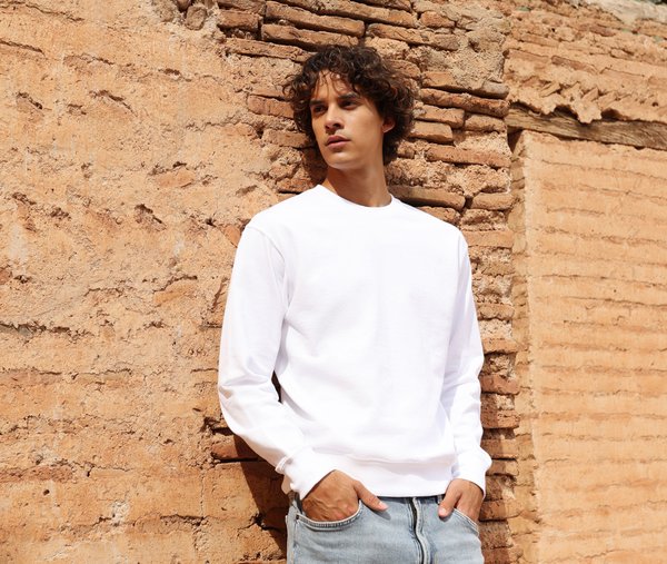 Straight sleeve sweatshirt 250